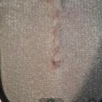 PawClean Pro™ – Electrostatic Pet Hair Cleaner photo review